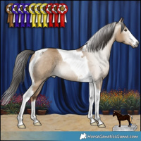 Horse Color:Gray White Spotted Liver Red Dun Tobiano Rabicano