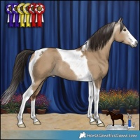 Horse Color:Gray White Spotted Liver Red Dun Tobiano Rabicano
