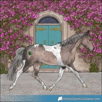 Horse Color:Platinum Chocolate Palomino Tobiano Rabicano