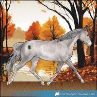 Horse Color:Platinum Chocolate Palomino Roan Sabino Rabicano