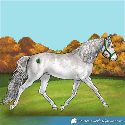 Horse Color:Platinum White Spotted Chocolate Palomino Dun Sabino Rabicano