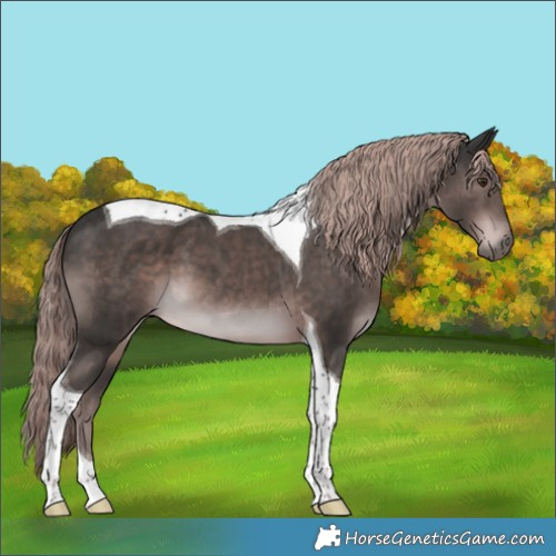Horse Color:Platinum Liver Chestnut Tobiano 