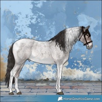 Horse Color:Platinum Liver Red Roan Tobiano Rabicano