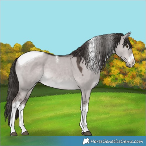 Horse Color:Platinum White Spotted Liver Red Dun Tobiano 