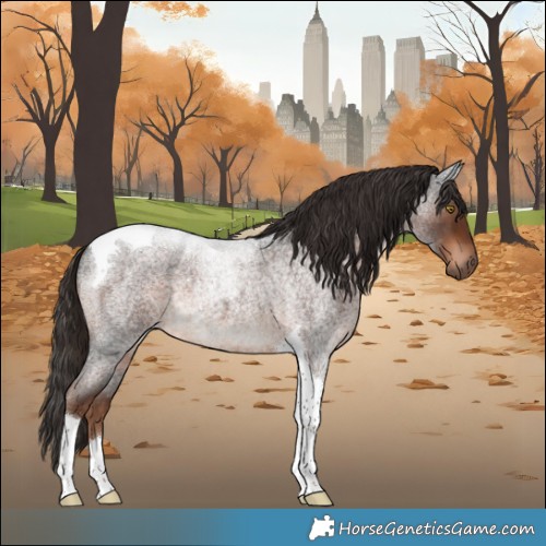 Horse Color:Liver Red Roan Tobiano 