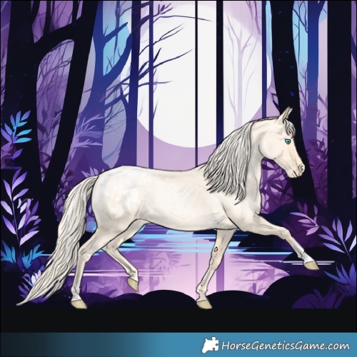 Horse Color:Palomino Roan Pearl  and Palomino Roan Pearl Appaloosa 