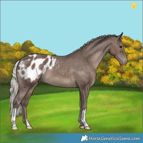 Horse Color:Silver Black Blanket 