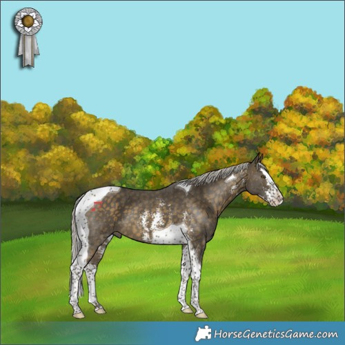 Horse Color:Silver Buckskin Sabino Splash Tobiano 