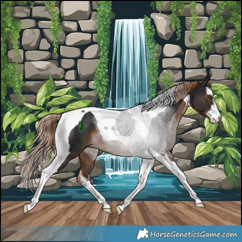 Horse Color:White Spotted Liver Chestnut Tobiano 