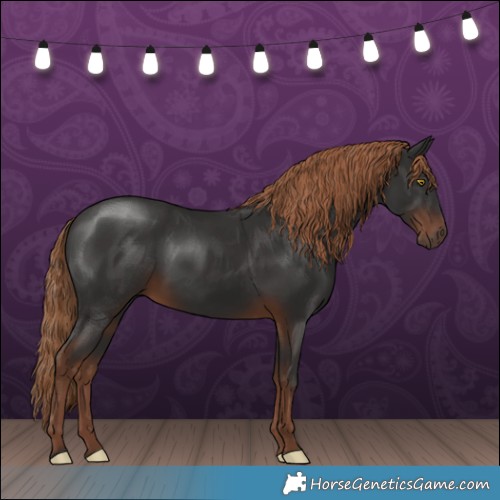 Horse Color:White Spotted Liver Chestnut 