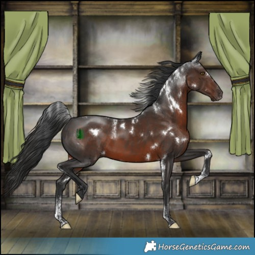 Horse Color:Powder White White Spotted Liver Chestnut 