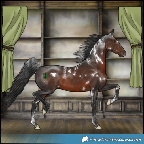 Horse Color:Powder White White Spotted Liver Chestnut 