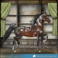 Horse Color:Powder White White Spotted Liver Chestnut 