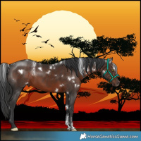 Horse Color:Powder White White Spotted Liver Chestnut