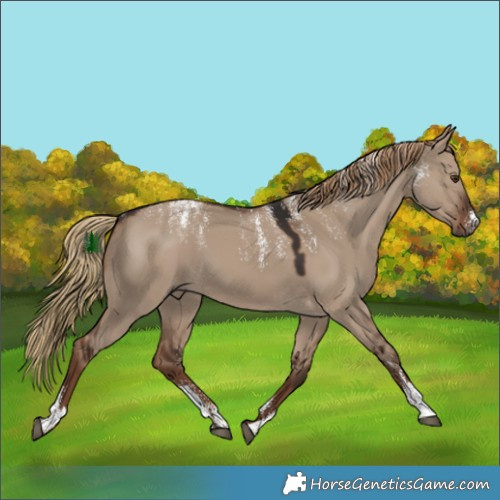 Horse Color:Powder White Liver Red Dun 