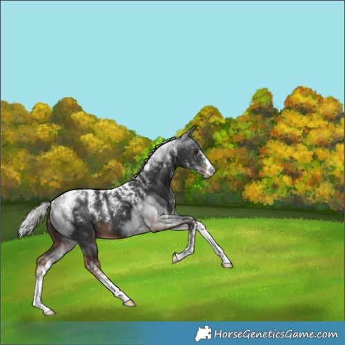Horse Color:Powder White Liver Chestnut Mushroom 