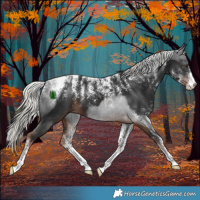 Horse Color:Powder White Liver Chestnut Mushroom