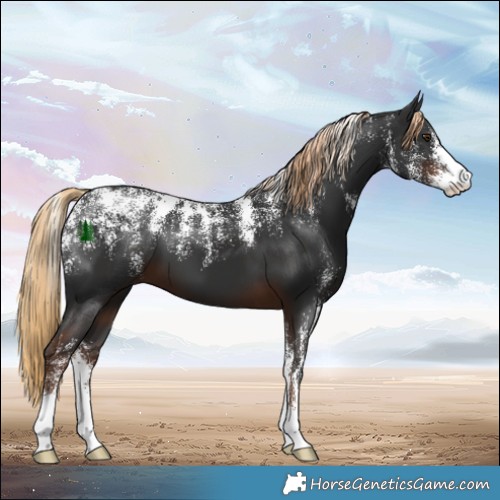 Horse Color:Powder White Liver Chestnut 