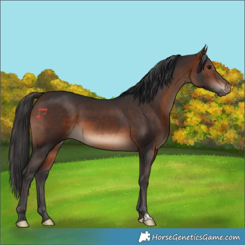 Horse Color:Brown 