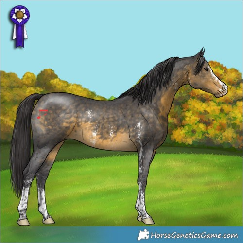 Horse Color:Buckskin Sabino 