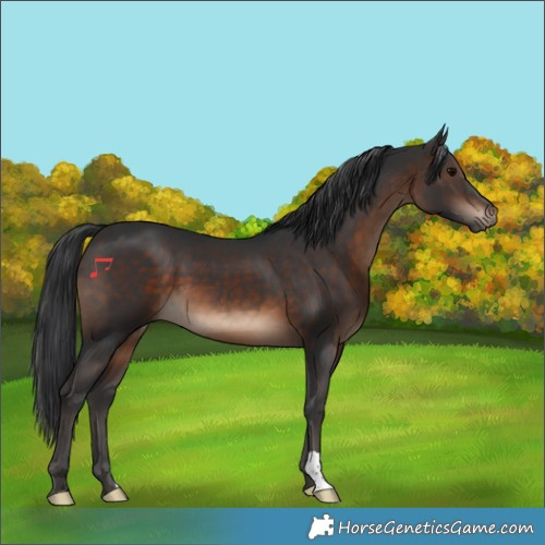 Horse Color:Brown 