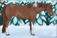 Horse Color:Red Roan Tobiano 