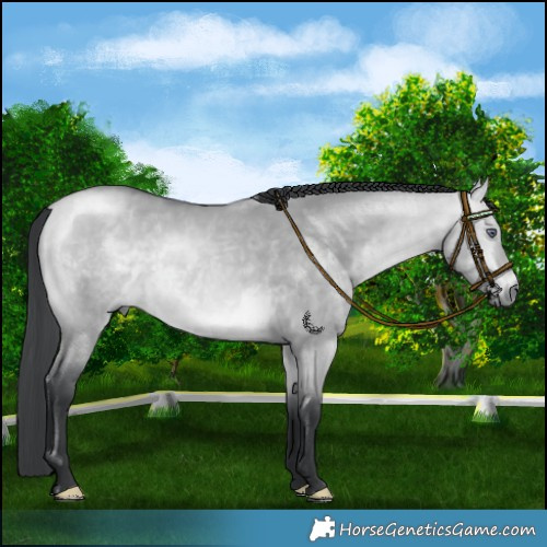 Horse Color:Bay Chinchilla Dun 
