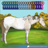 Horse Color:White Spotted Smoky Grullo Snowdrop Tobiano Snowcap Rabicano 