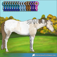 Horse Color:White Spotted Smoky Grullo Snowdrop Tobiano Snowcap Rabicano 
