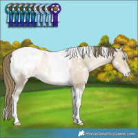 Horse Color:White Spotted Smoky Grullo Snowdrop Tobiano Appaloosa Rabicano