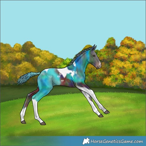 Horse Color:Nacre White Spotted Liver Chestnut Tobiano 