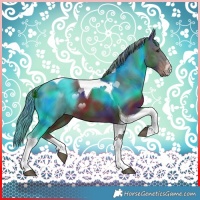 Horse Color:Nacre White Spotted Liver Chestnut Tobiano 