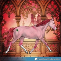 Horse Color:Watercolor White Spotted Liver Red Dun Rabicano 