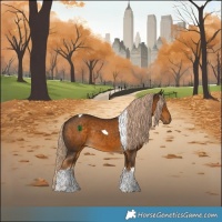 Horse Color:White Spotted Chocolate Palomino Tobiano Rabicano