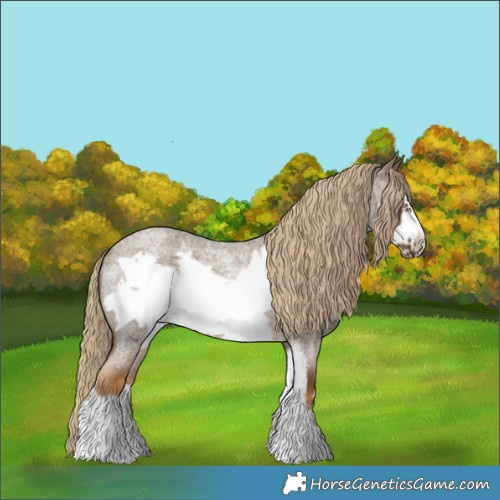 Horse Color:Chocolate Palomino Roan Sabino Frame 
