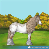 Horse Color:Chocolate Palomino Roan Sabino Frame 