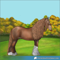 Horse Color:Gray Liver Chestnut Pearl Tobiano