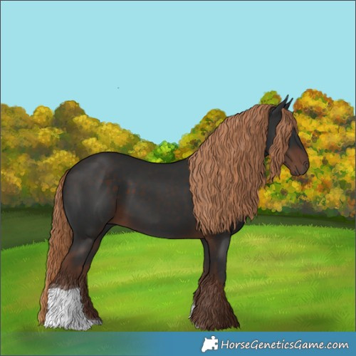 Horse Color:Liver Chestnut Tobiano 