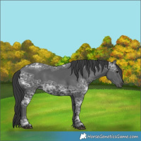 Horse Color:Black Ice 