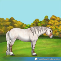 Horse Color:Silver Bay Roan Onyx