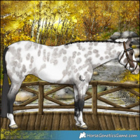 Horse Color:Brown Roan Dun Frame Near Leopard