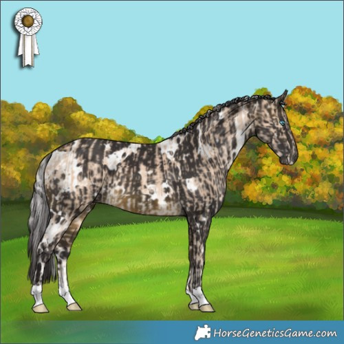 Horse Color:Silver Perlino  and White Spotted Buckskin 