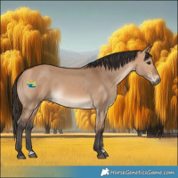 Horse Color:Bay Dun