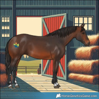 Horse Color:Brown 