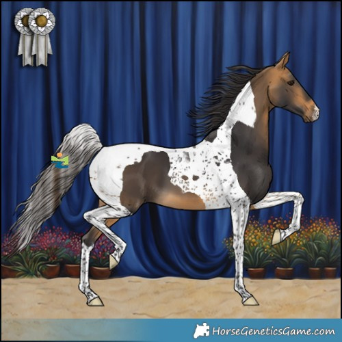 Horse Color:Buckskin Tobiano 