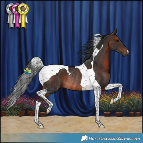 Horse Color:Brown Tobiano Rabicano 