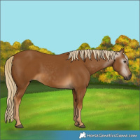 Horse Color:Gray Palomino