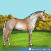 Horse Color:Gray Palomino 