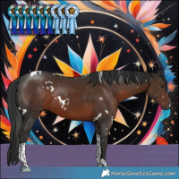 Horse Color:White Spotted Liver Chestnut Tobiano