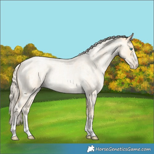Horse Color:Palomino Roan Pearl  and Palomino Roan Pearl 